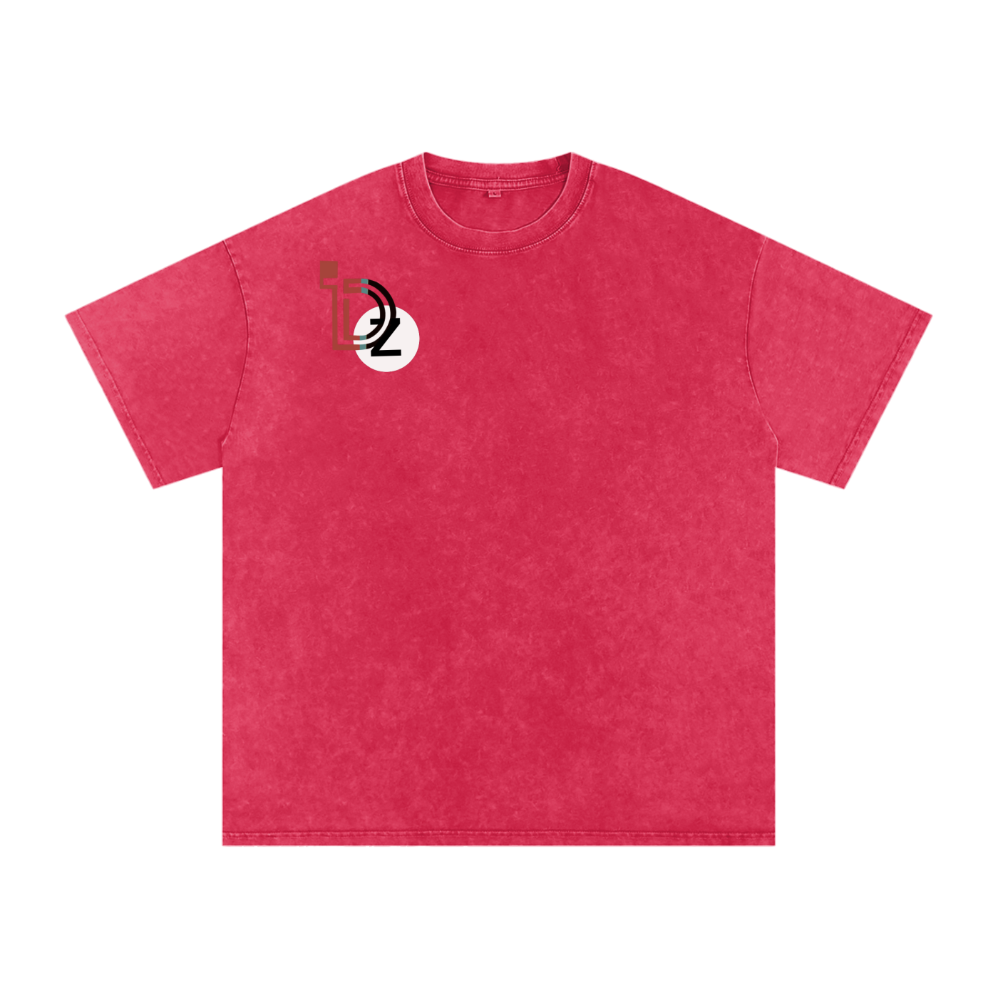 Logo Snow Washed Oversized Cotton T-Shirt