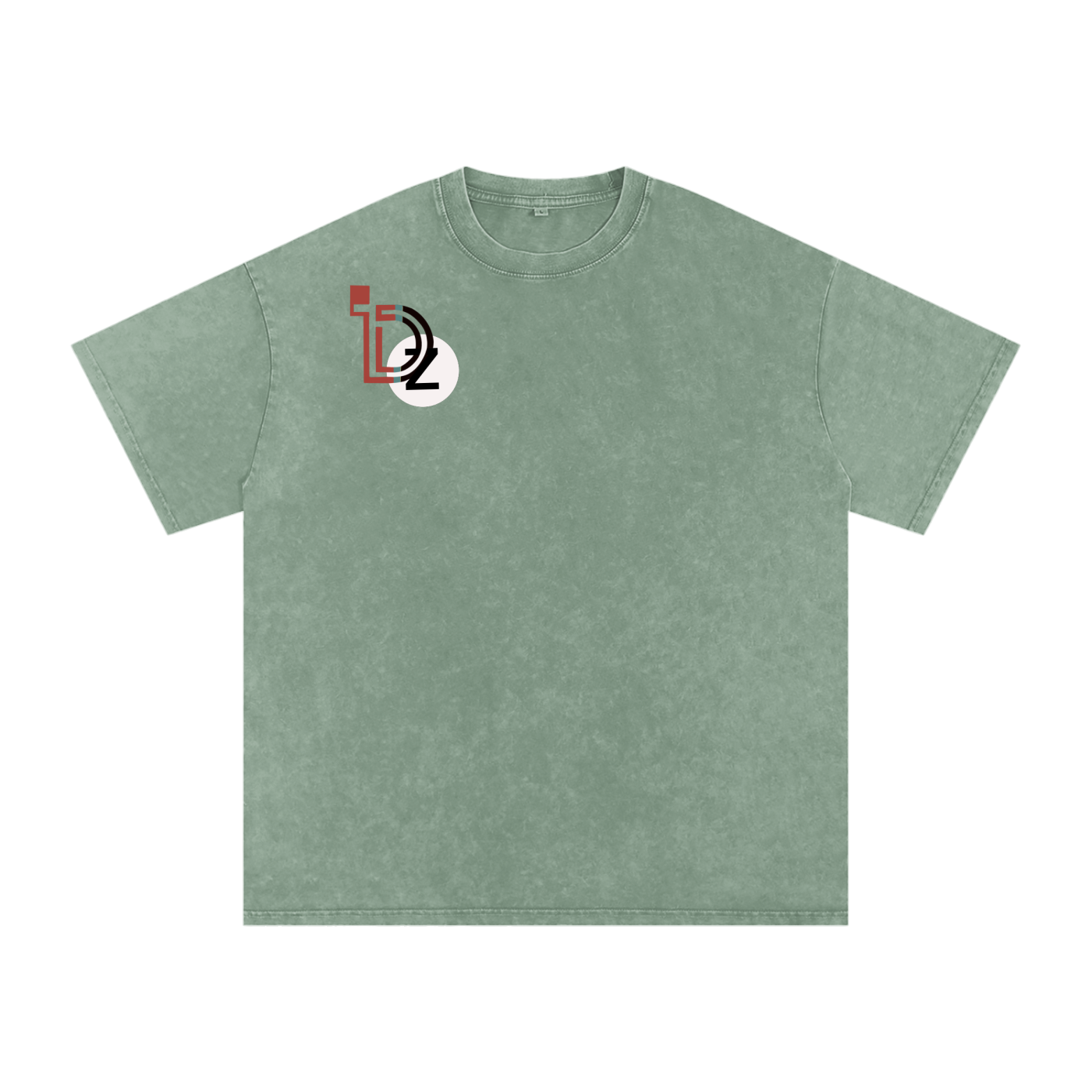 Logo Snow Washed Oversized Cotton T-Shirt