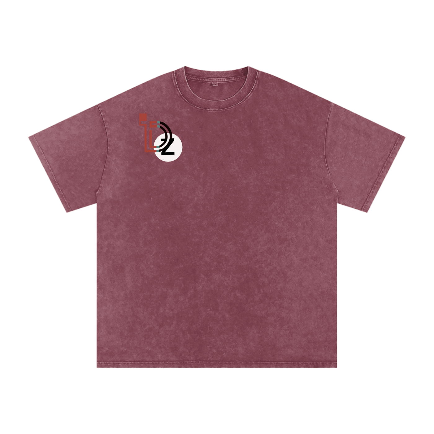 Logo Snow Washed Oversized Cotton T-Shirt