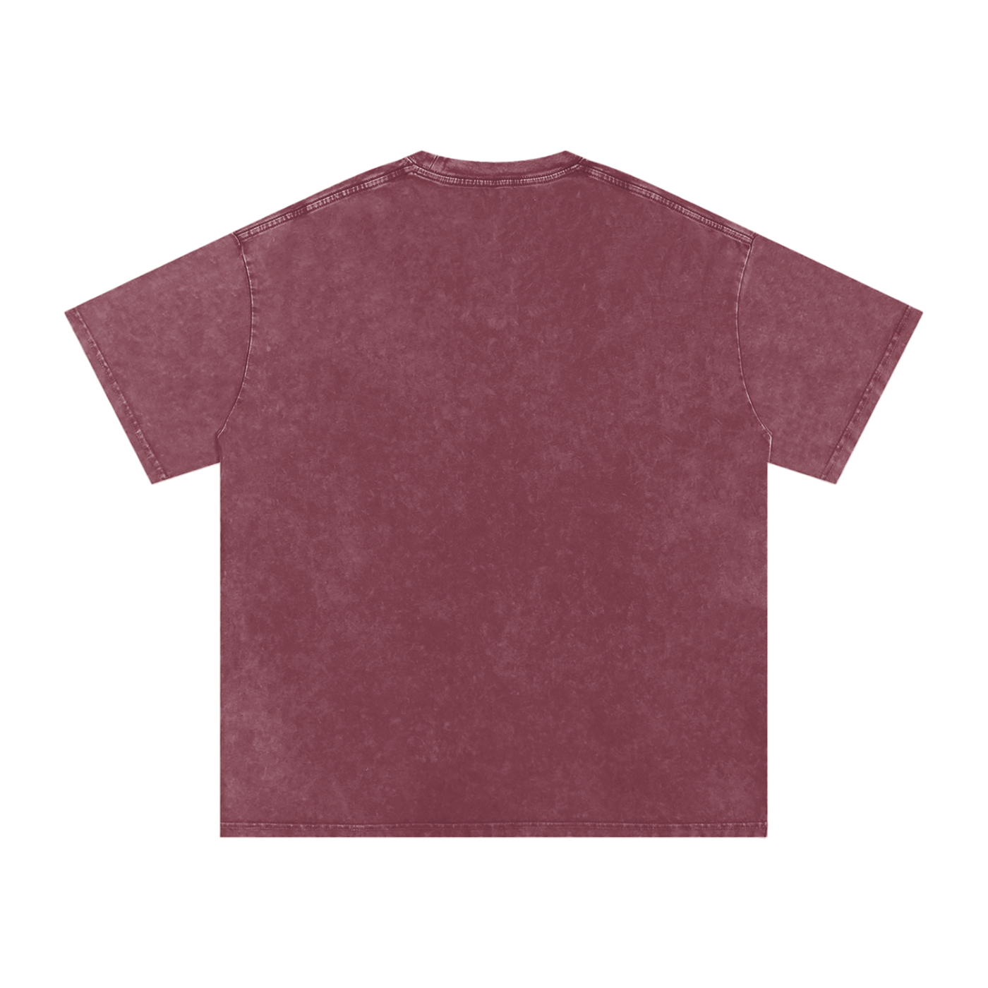 Logo Snow Washed Oversized Cotton T-Shirt